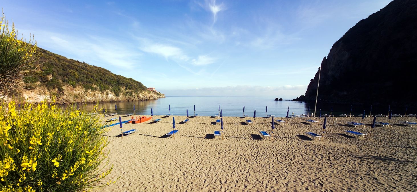 Spiaggia image 4